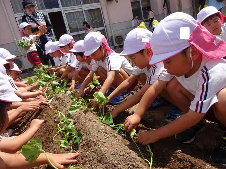 認定こども園　下関短期大学付属第一幼稚園　園の行事